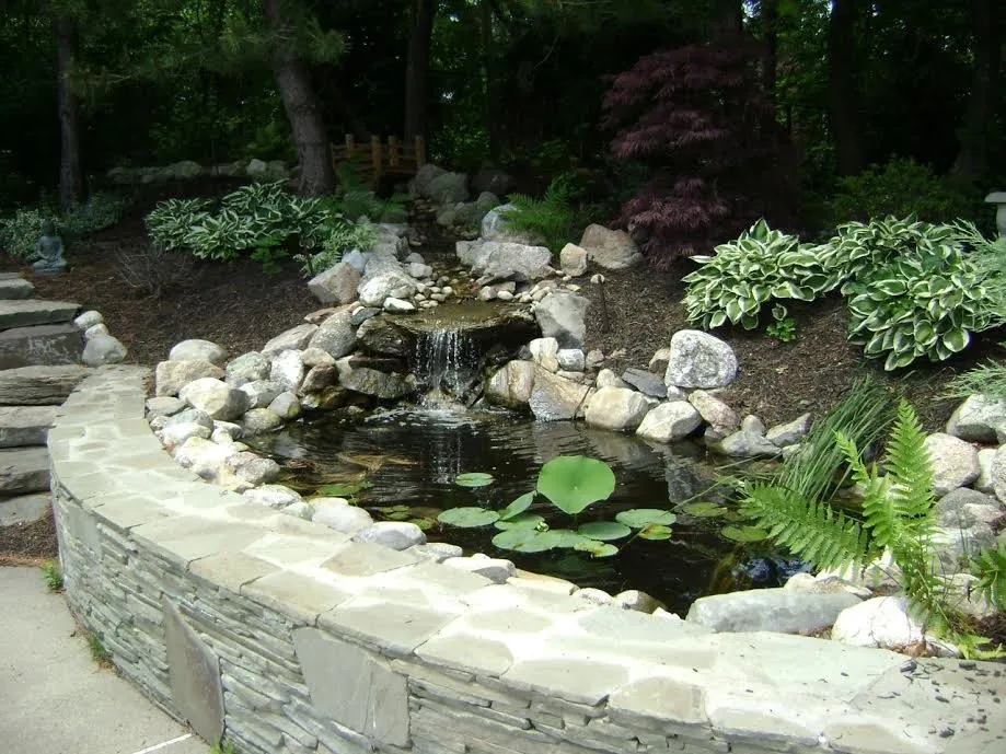 Professional yard cleanup service in Rowley, MA - Cole Landscaping