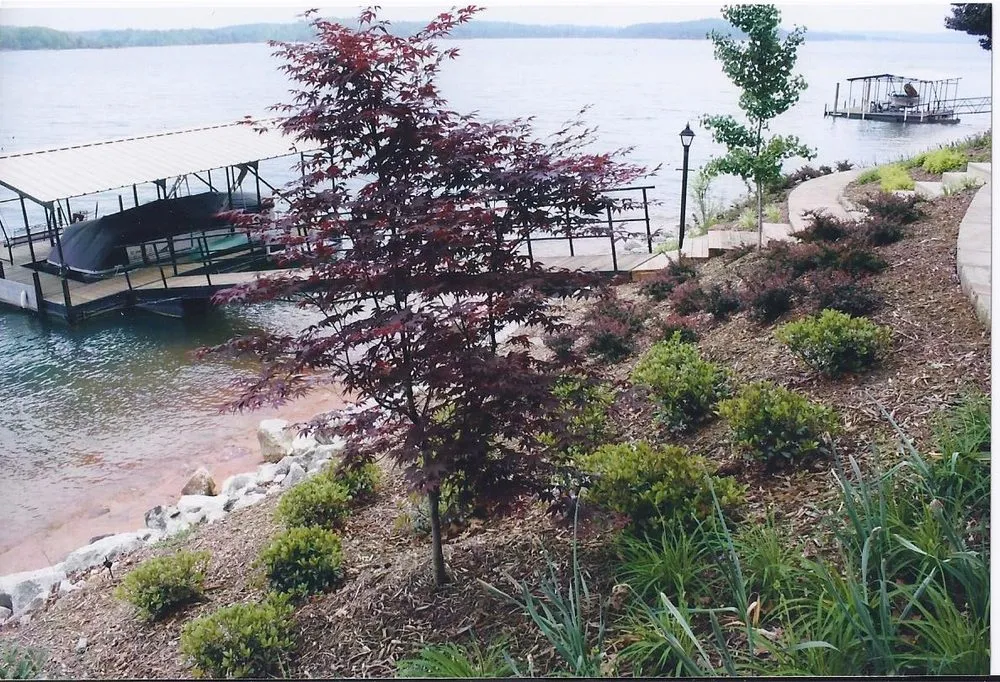 Custom lawn mowing service in Easley, SC - Cole Services