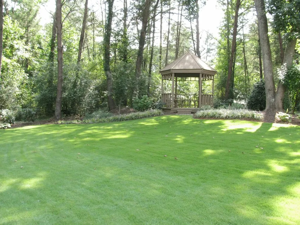Top-rated outdoor landscaping for year-round maintenance in Easley, SC by Cole Services