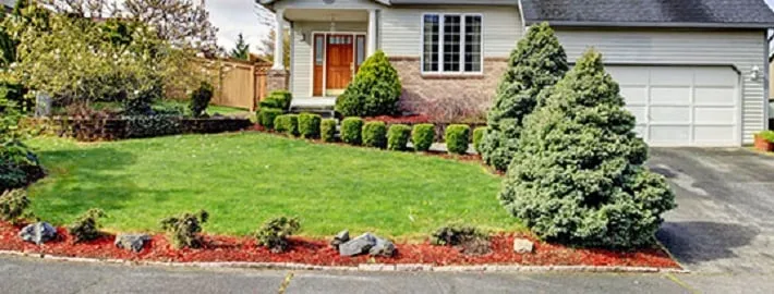 Trusted lawn care service experts serving Easley, SC - Cole Services