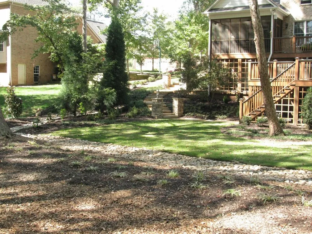 Reliable yard cleanup service experts serving Easley, SC - Cole Services