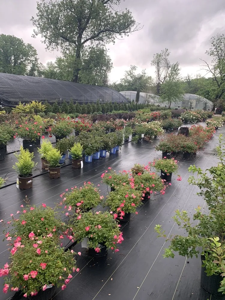 Custom lawn mowing service in Tulsa, OK - Colebrook Nursery