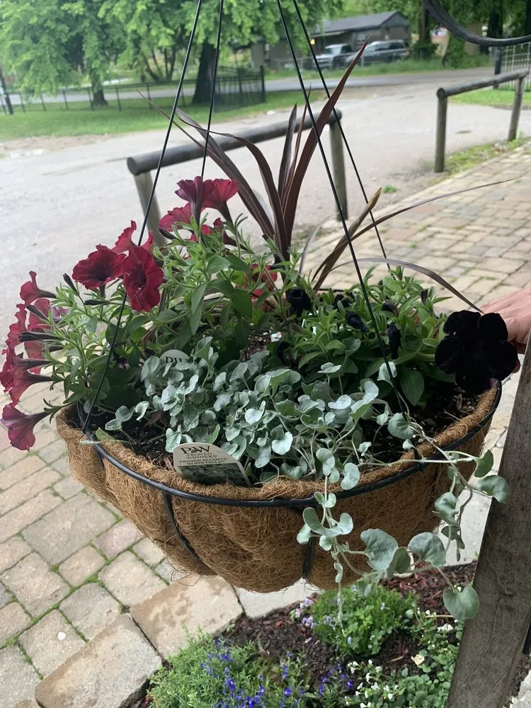 Local landscape design in Tulsa, OK by Colebrook Nursery