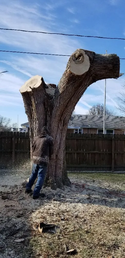 Top-rated lawn mowing service for homes across Springfield, OH - Coleman Lawn and Tree Services