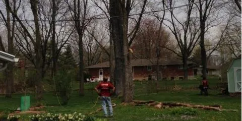 Top-rated residential landscaping for residential properties in Springfield, OH by Coleman Lawn and Tree Services