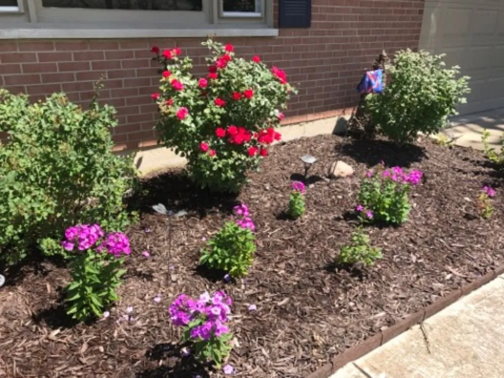 Trusted lawn care service for homes across Springfield, OH - Coleman Lawn and Tree Services