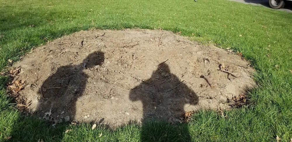 Top-rated outdoor landscaping for residential properties across Springfield, OH - Coleman Lawn and Tree Services