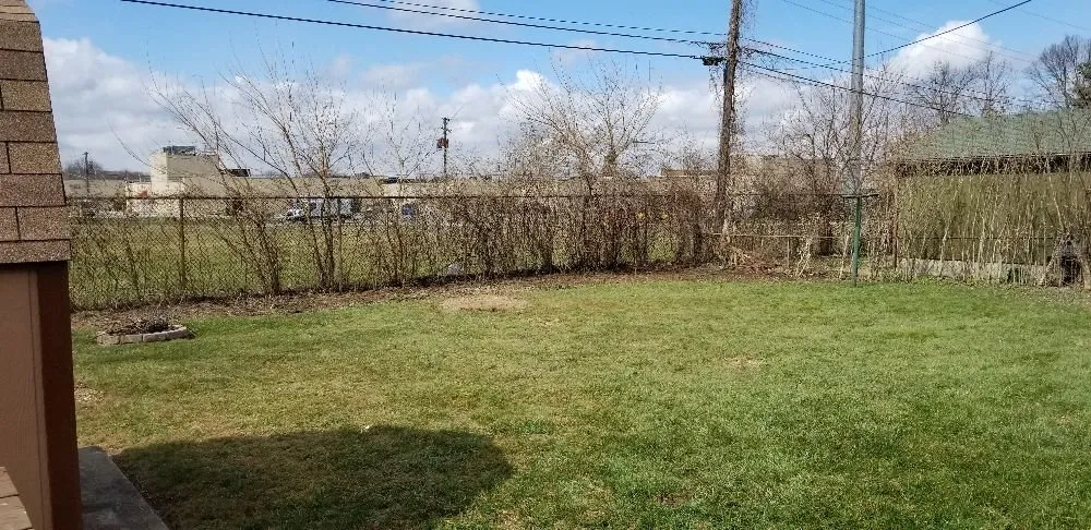 Affordable landscape installation for year-round maintenance across Springfield, OH - Coleman Lawn and Tree Services