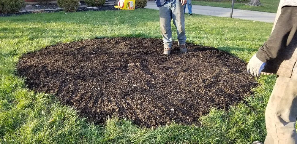 Reliable landscape installation experts serving Springfield, OH - Coleman Lawn and Tree Services