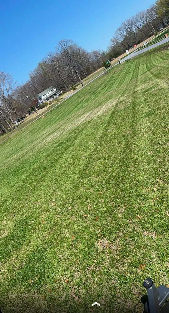 Trusted yard maintenance for residential properties across Lynchburg, VA - Coleman Lawn Care