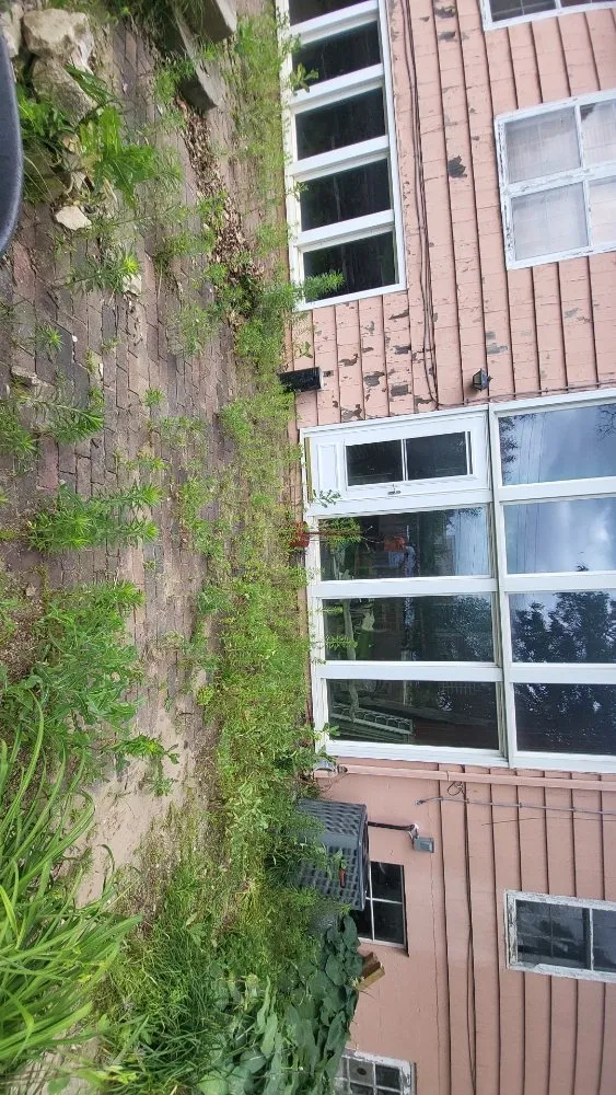 Trusted yard cleanup service experts serving Marshalltown, IA - Coleman Lawn Care