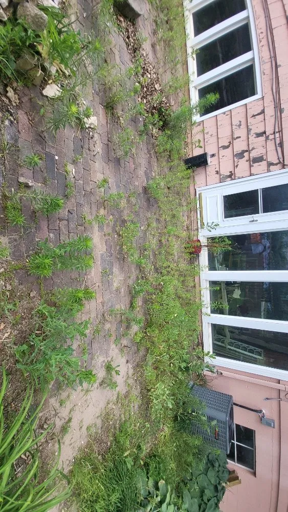 Affordable yard cleanup service experts serving Marshalltown, IA - Coleman Lawn Care