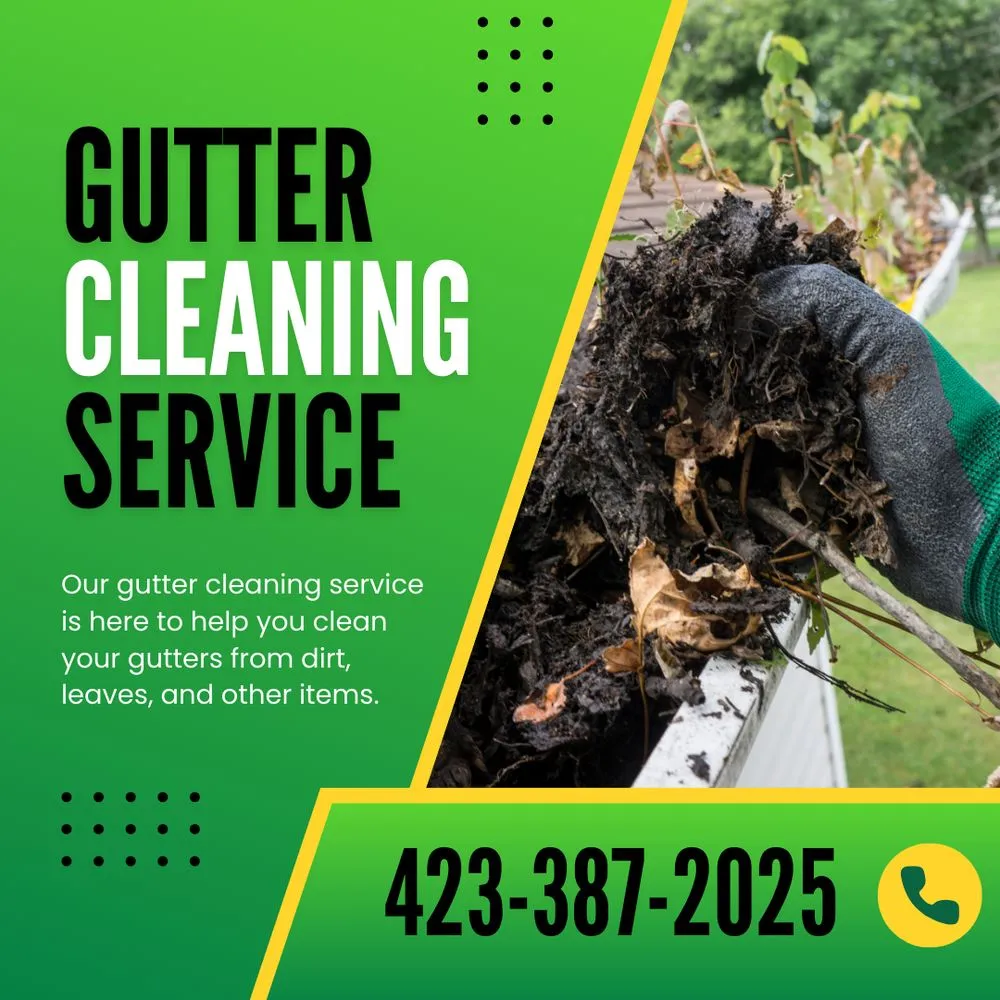 Reliable landscape design in Piney Flats, TN by Coleman Property Services