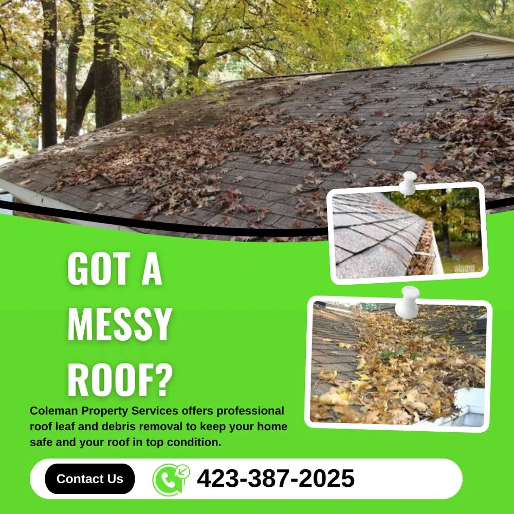 Trusted lawn mowing service for homes across Piney Flats, TN - Coleman Property Services