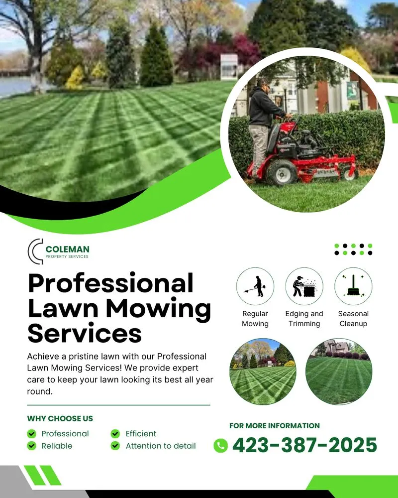 Professional yard cleanup service experts serving Piney Flats, TN - Coleman Property Services