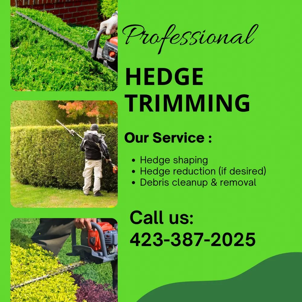Trusted lawn mowing service for beautiful yards across Piney Flats, TN - Coleman Property Services