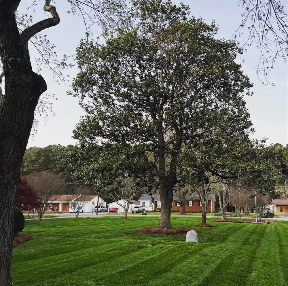 Professional residential landscaping near you across China Grove, NC - Coleman Proscapes