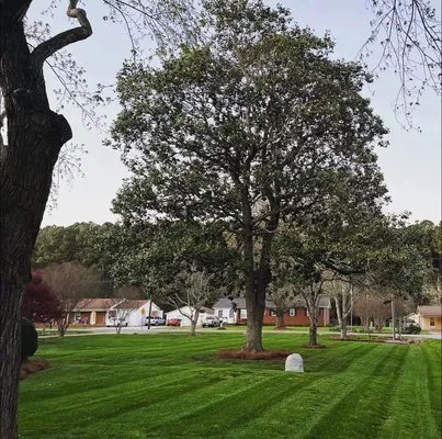 Coleman Proscapes Logo