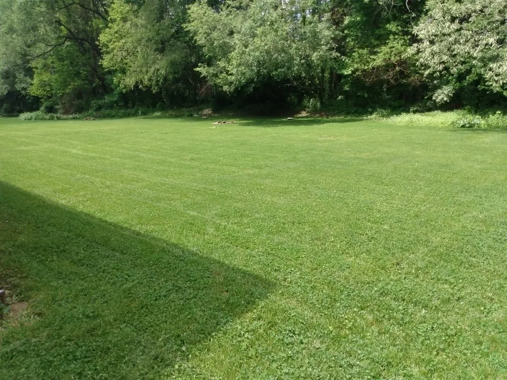 Expert yard cleanup service in Akron, OH - Coleman's Landscaping