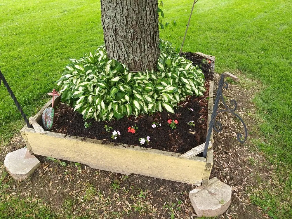 Top-rated yard cleanup service in Akron, OH - Coleman's Landscaping