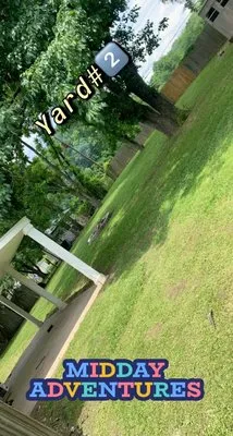 Coleman's Lawn & Landscaping Services Logo