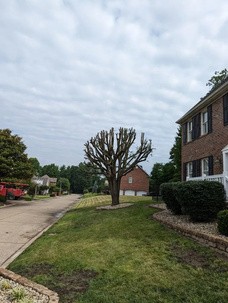 Professional outdoor landscaping in Wayne, WV - Coleman's Tree Service