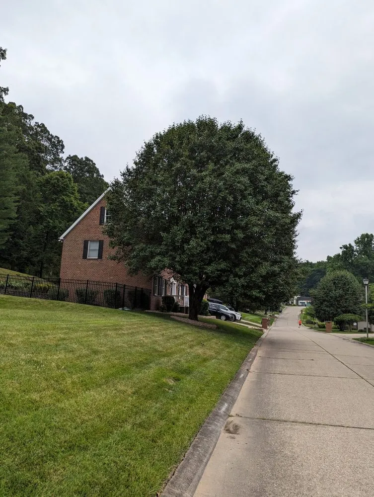 Local lawn care service for beautiful yards across Wayne, WV - Coleman's Tree Service