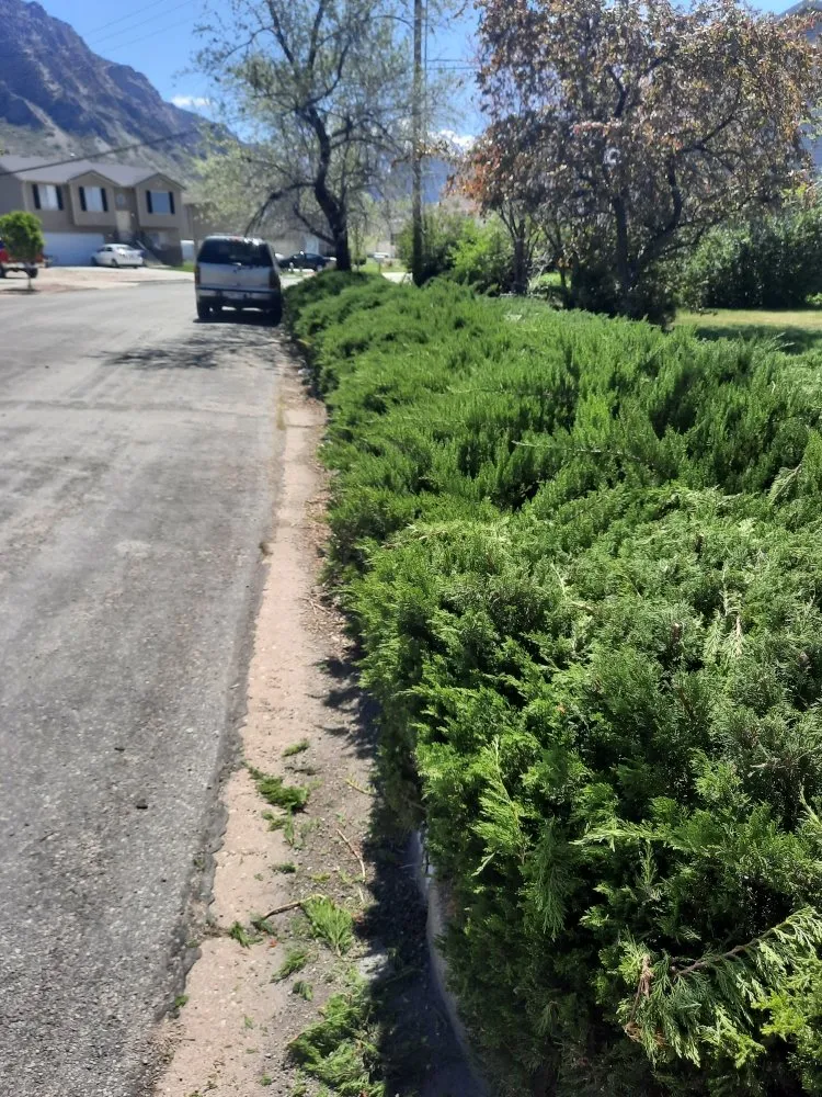 Trusted lawn mowing service for residential properties across Roy, UT - Colemans Yardcare