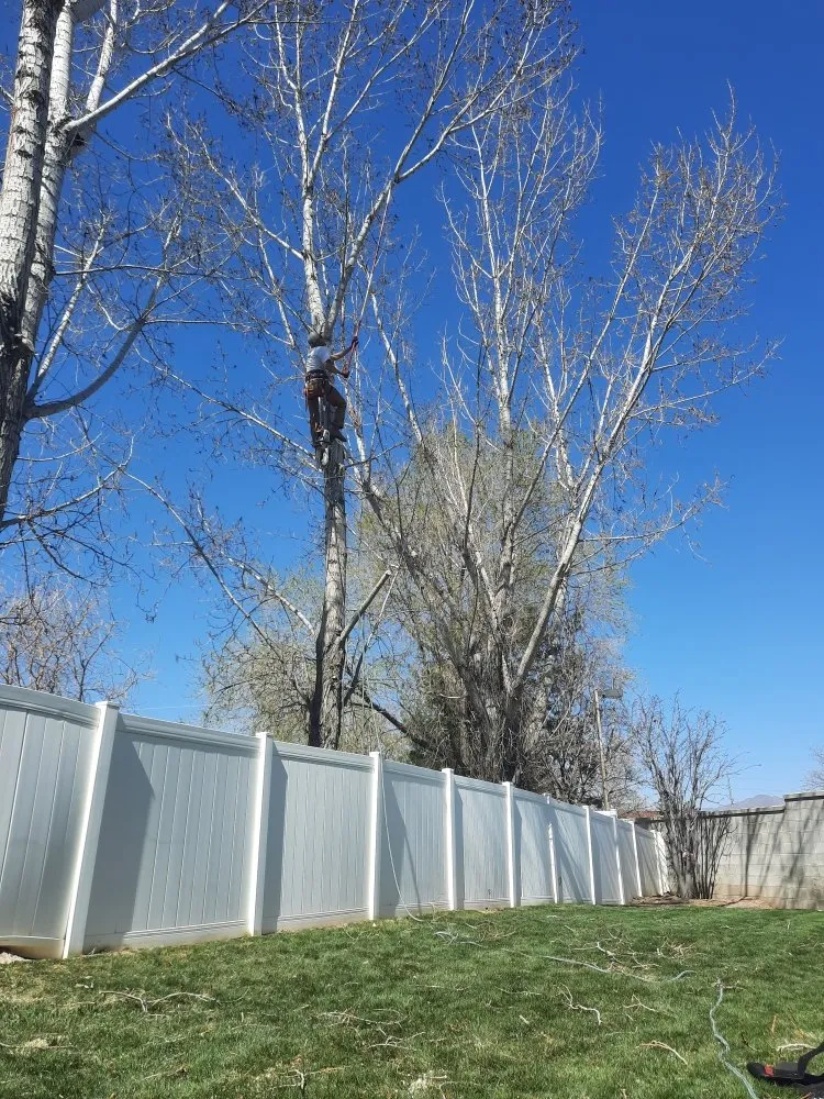 Affordable lawn mowing service for outdoor upgrades across Roy, UT - Colemans Yardcare