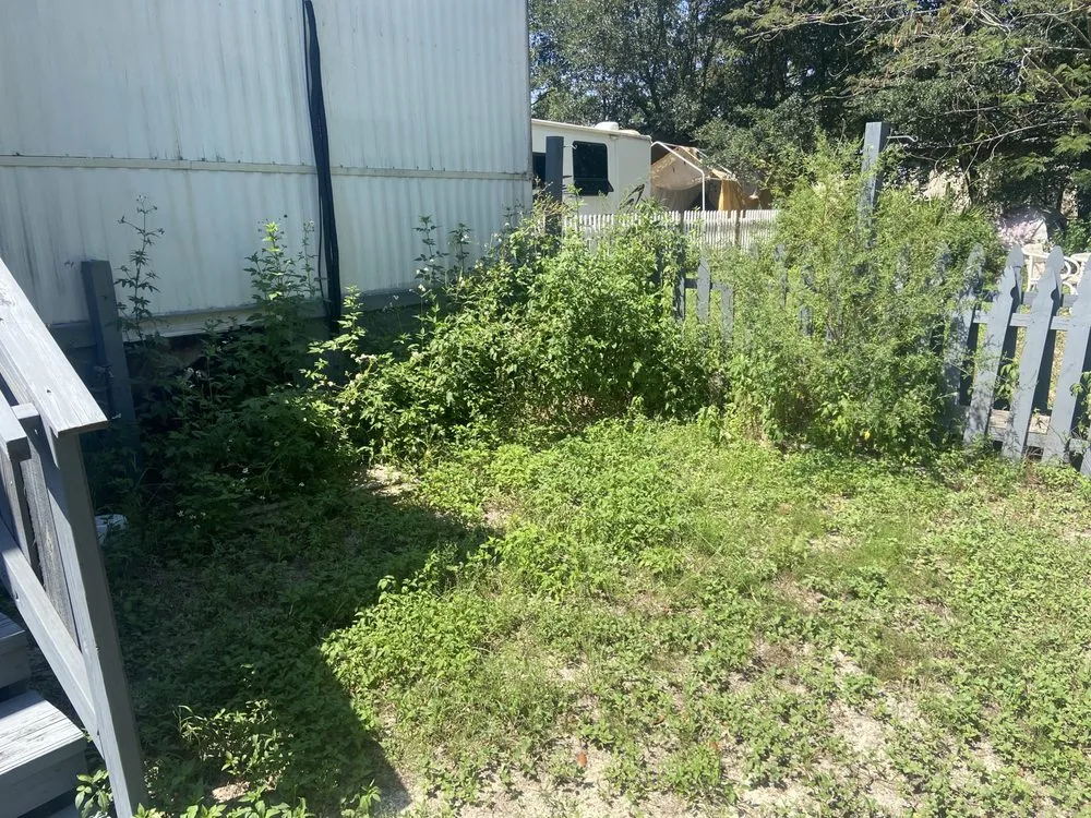 Top-rated landscape design in Navarre, FL by Cole’s Cuts