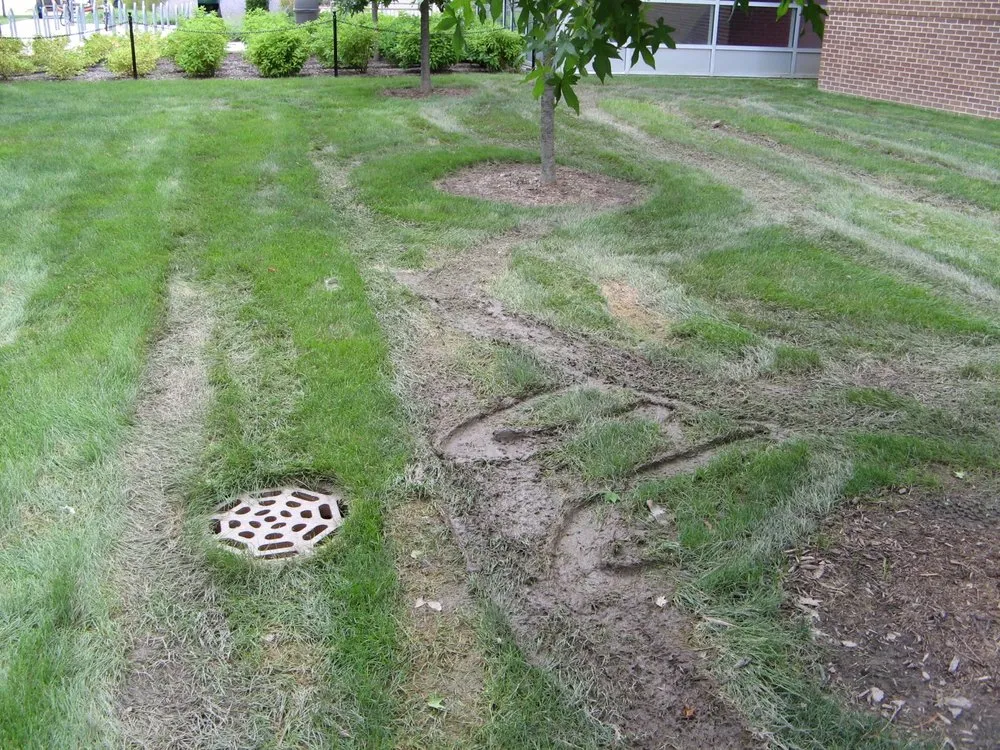 Top-rated outdoor landscaping in Carriere, MS - Cole's Dependable Lawn Care