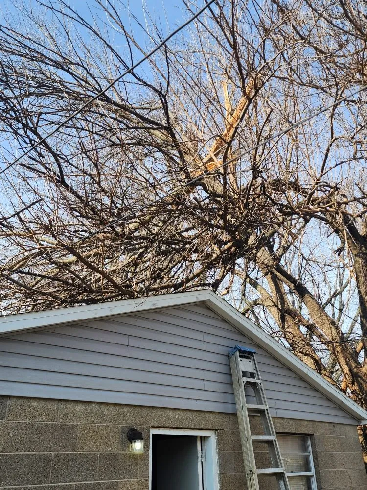 Professional residential landscaping experts serving Chandler, IN - Cole's Handyman Services