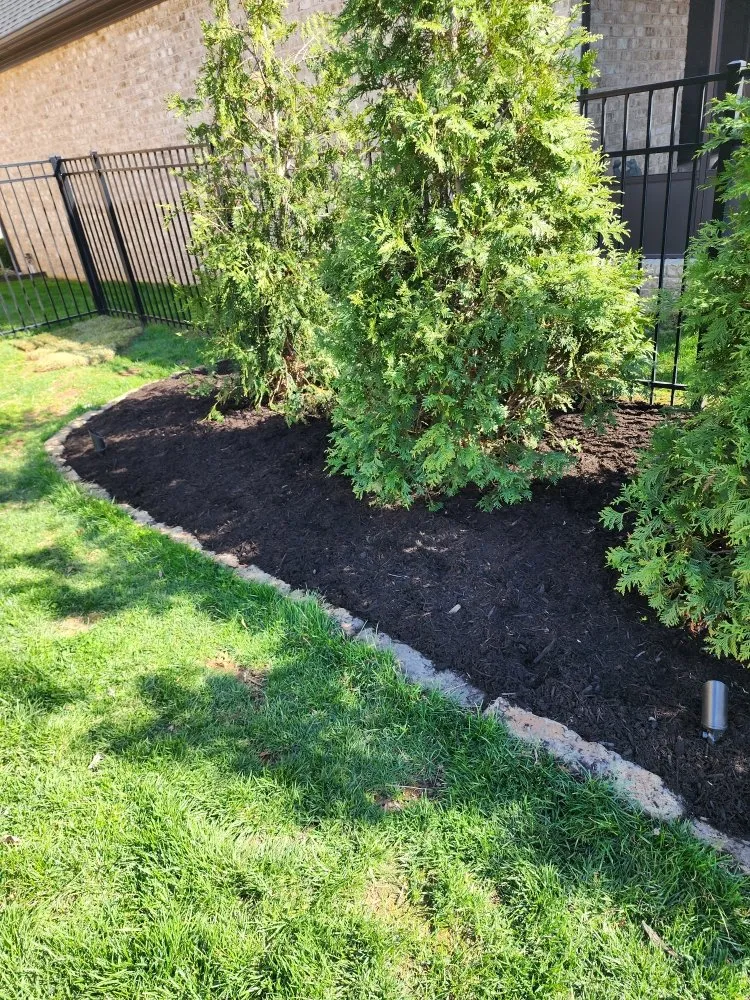 Top-rated landscape design for beautiful yards across Chandler, IN - Cole's Handyman Services