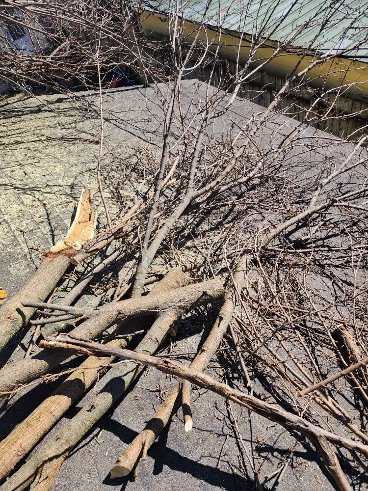 Local garden landscaping experts serving Chandler, IN - Cole's Handyman Services