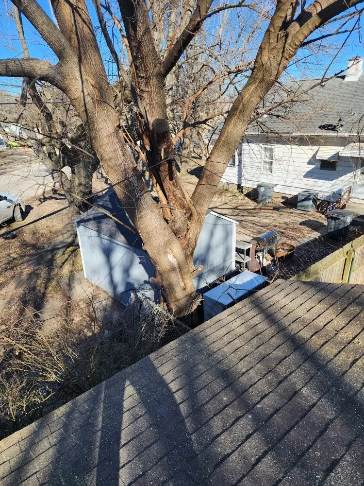 Custom landscape design in Chandler, IN by Cole's Handyman Services