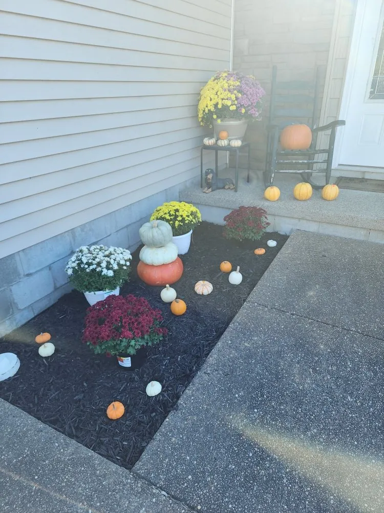 Reliable landscape design for homes across Chandler, IN - Cole's Handyman Services