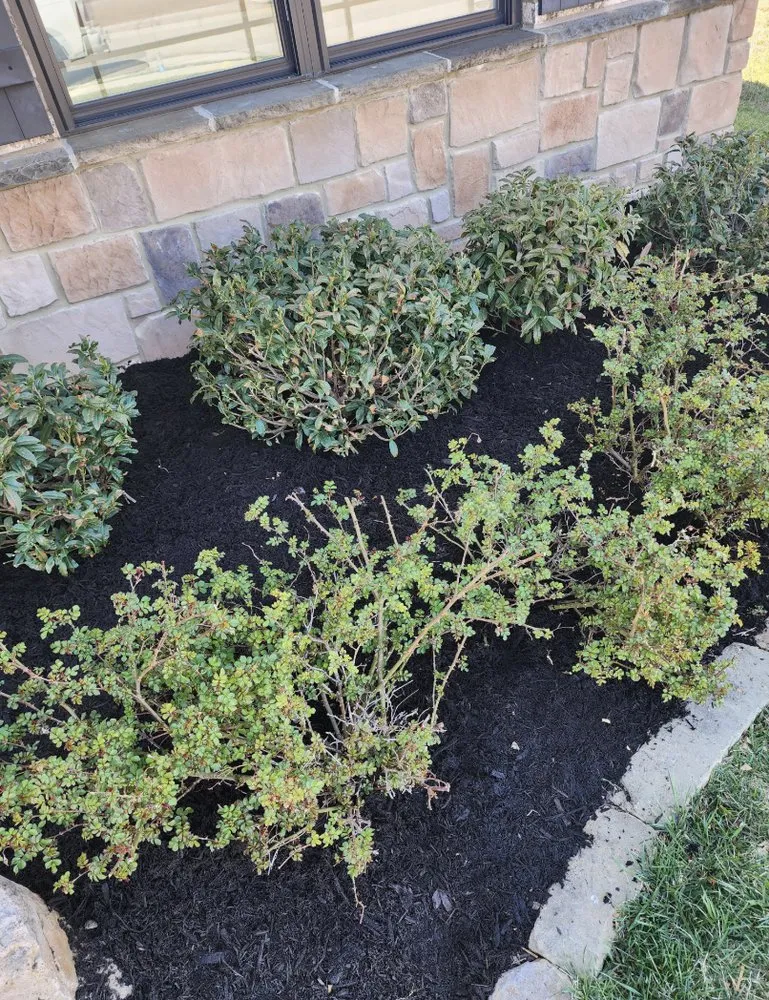 Top-rated lawn mowing service experts serving Chandler, IN - Cole's Handyman Services