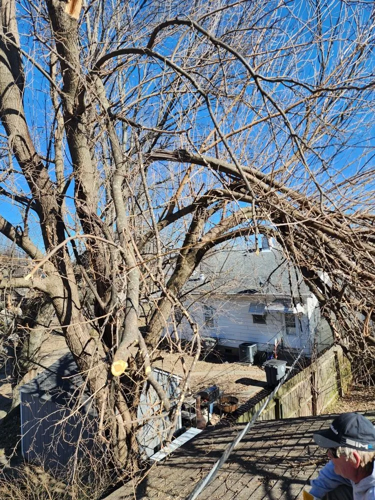 Local garden landscaping for outdoor upgrades across Chandler, IN - Cole's Handyman Services