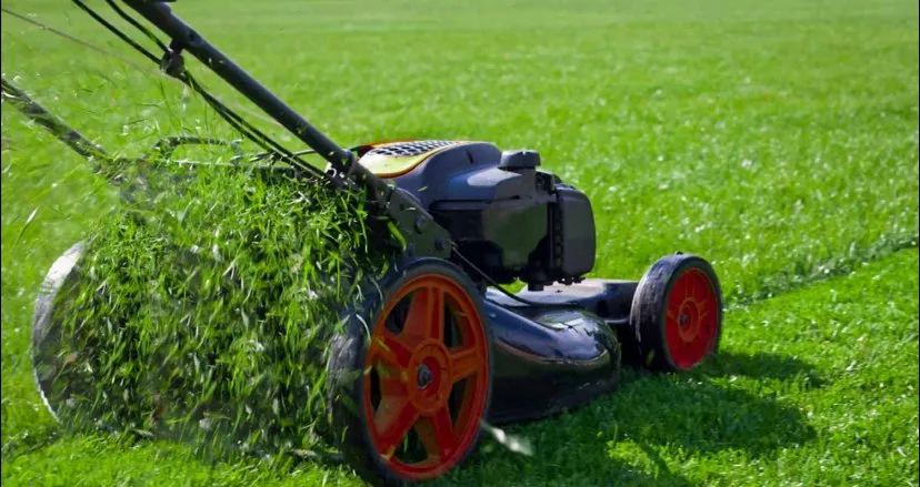 Custom landscaping services experts serving Gallipolis, OH - Cole’s House Cleaning & Lawn Services