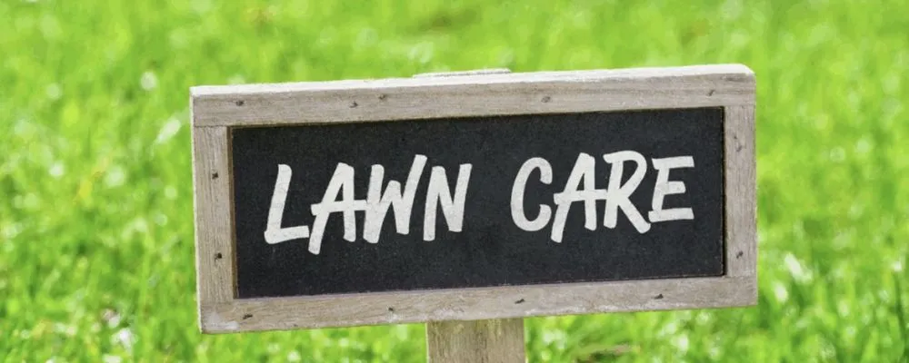 Expert yard maintenance experts serving Chipley, FL - Cole’s Lawn Care