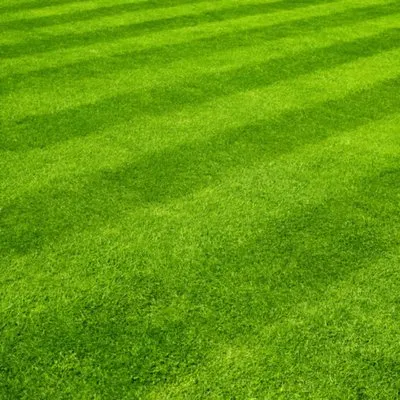 Cole's Lawn Care Logo