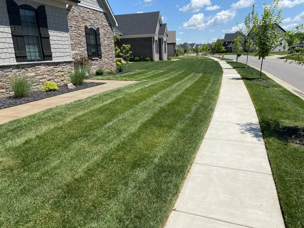 Expert landscape installation in Louisville, KY by Cole’s Lawn Care