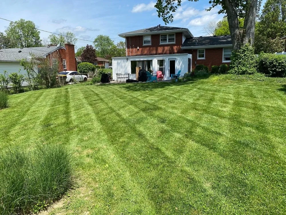 Professional landscape design for beautiful yards across Louisville, KY - Cole’s Lawn Care