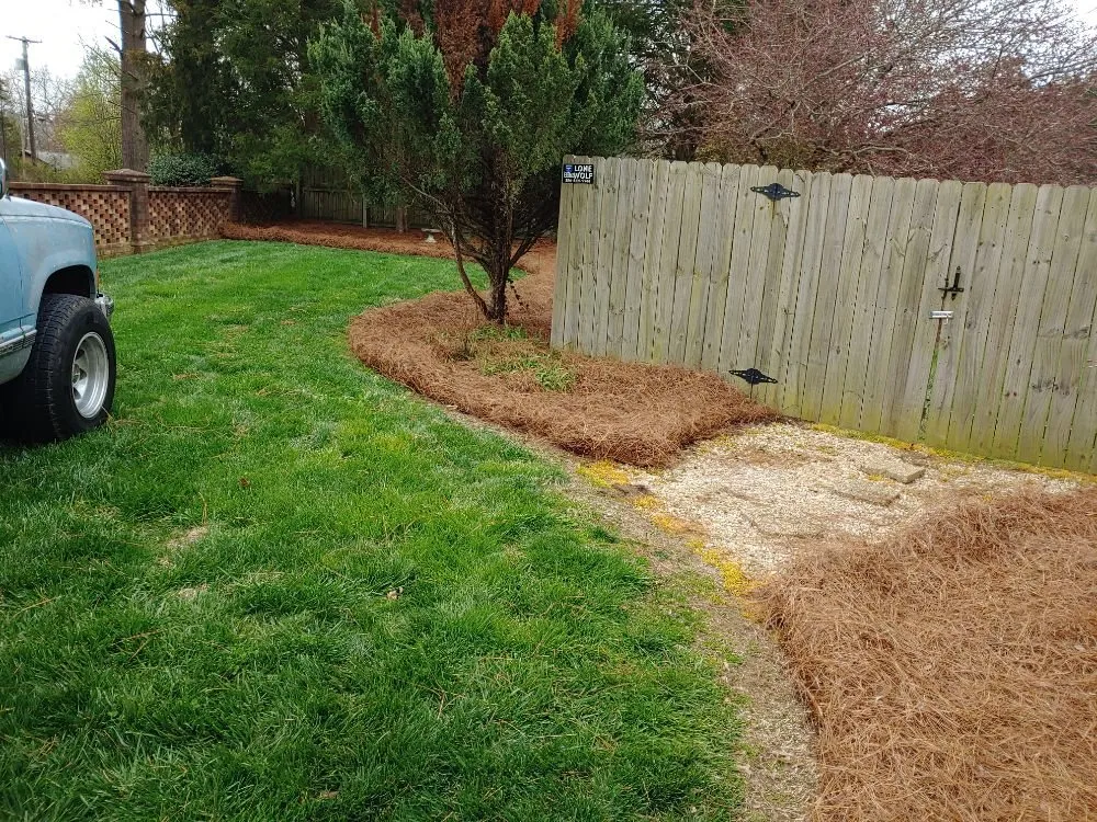 Affordable lawn mowing service in High Point, NC by Cole's Lawn Maintenance