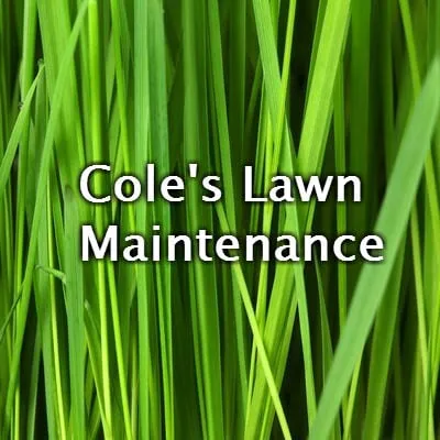 Local garden landscaping for year-round maintenance across High Point, NC - Cole's Lawn Maintenance