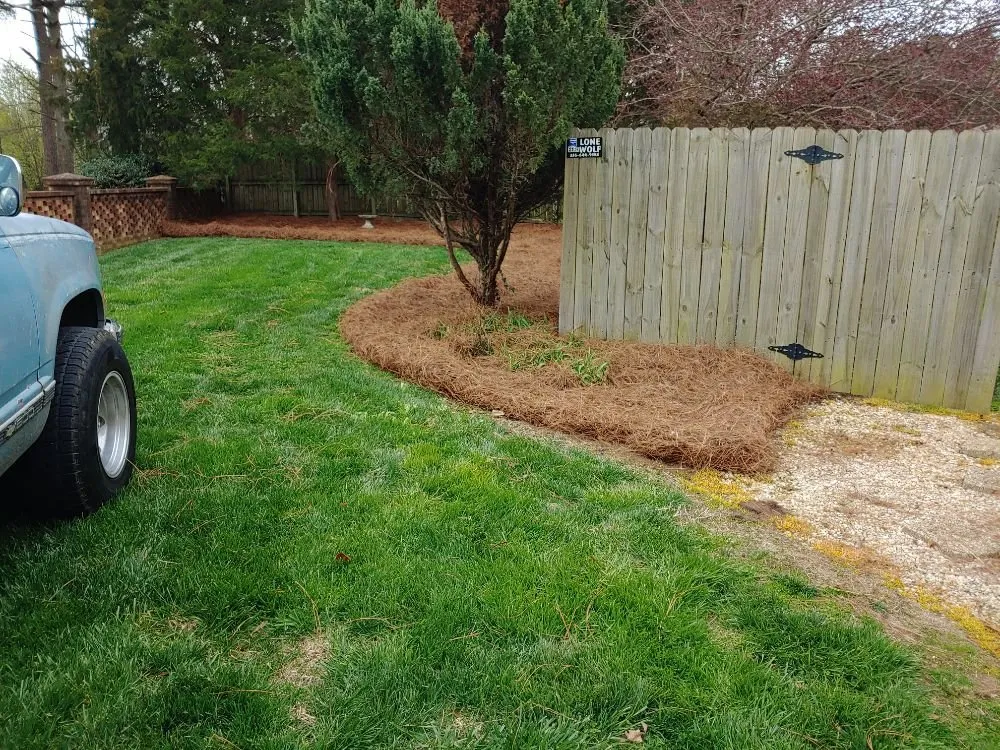 Affordable landscaping services for homes across High Point, NC - Cole's Lawn Maintenance