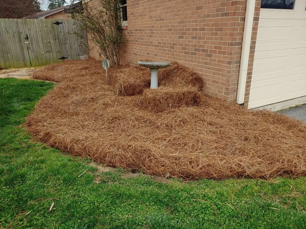 Trusted yard maintenance in High Point, NC - Cole's Lawn Maintenance