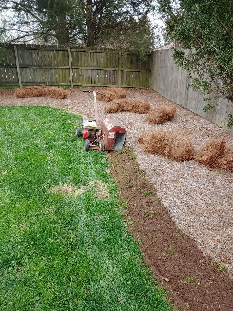 Top-rated residential landscaping for outdoor upgrades in High Point, NC by Cole's Lawn Maintenance