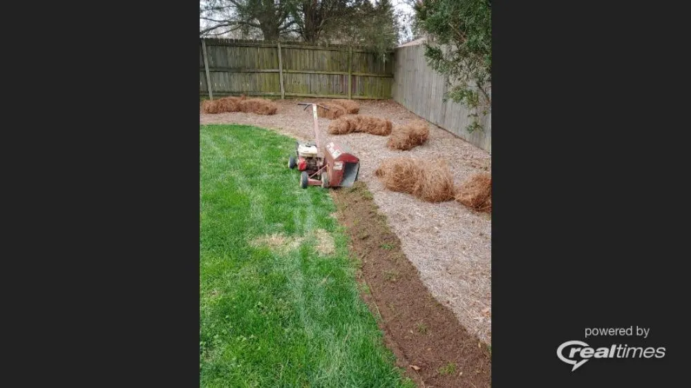 Local yard cleanup service for year-round maintenance in High Point, NC by Cole's Lawn Maintenance