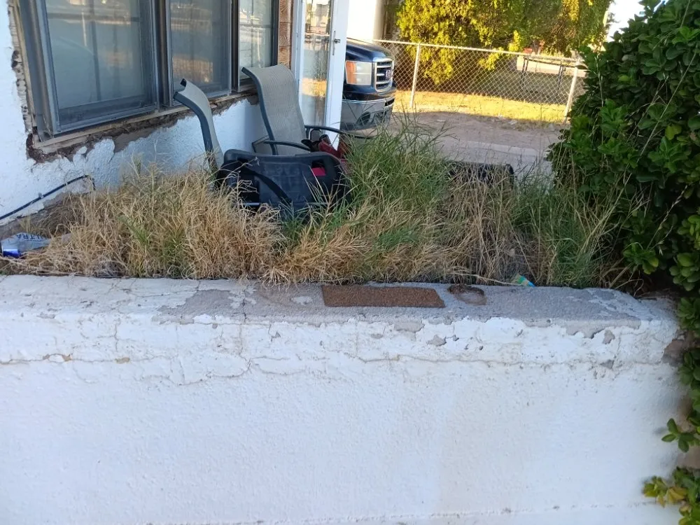 Local lawn mowing service in Artesia, NM by Coles Legacy